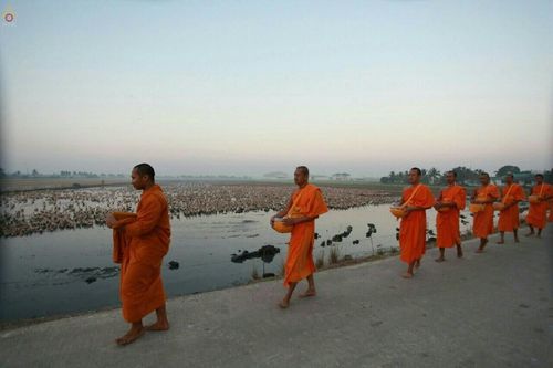 ภาพ No.20414:ธรรมยาตราฯ ปีที่ 5 วันอังคารที่ 5 มกราคม พ.ศ. 2559