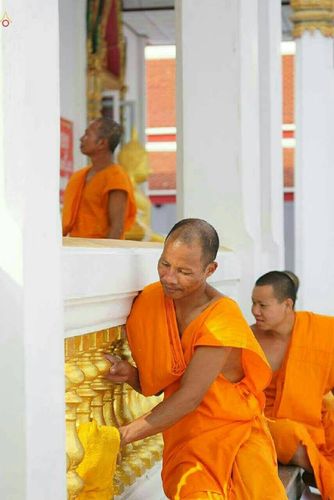 ภาพ No.20690:ธรรมยาตราฯ ปีที่ 5 วันพฤหัสบดีที่ 7 มกราคม พ.ศ. 2559