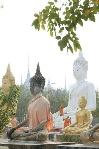 ภาพ No.20712:ธรรมยาตราฯ ปีที่ 5 วันศุกร์ที่ 8 มกราคม พ.ศ. 2559