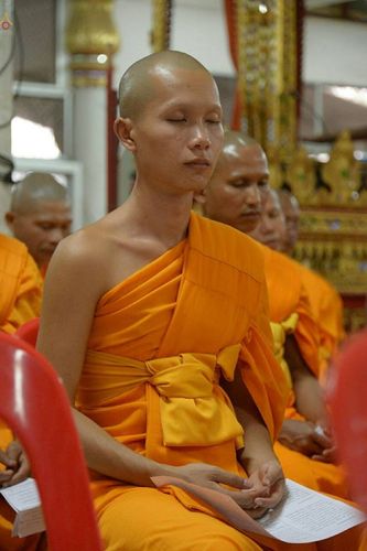 ภาพ No.20741:ธรรมยาตราฯ ปีที่ 5 วันศุกร์ที่ 8 มกราคม พ.ศ. 2559