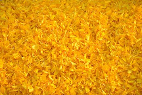 ภาพ No.20758:ธรรมยาตราฯ ปีที่ 5 วันเสาร์ที่ 9 มกราคม พ.ศ. 2559