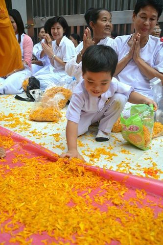 ภาพ No.20771:ธรรมยาตราฯ ปีที่ 5 วันเสาร์ที่ 9 มกราคม พ.ศ. 2559