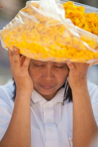 ภาพ No.20786:ธรรมยาตราฯ ปีที่ 5 วันเสาร์ที่ 9 มกราคม พ.ศ. 2559