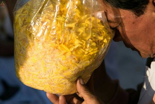 ภาพ No.20791:ธรรมยาตราฯ ปีที่ 5 วันเสาร์ที่ 9 มกราคม พ.ศ. 2559