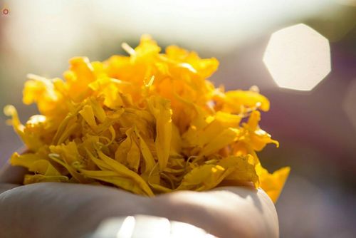 ภาพ No.20794:ธรรมยาตราฯ ปีที่ 5 วันเสาร์ที่ 9 มกราคม พ.ศ. 2559