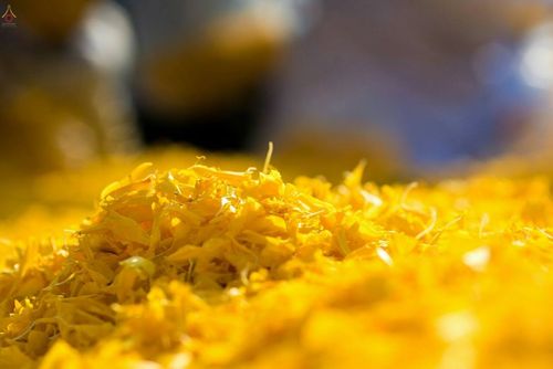 ภาพ No.20838:ธรรมยาตราฯ ปีที่ 5 วันเสาร์ที่ 9 มกราคม พ.ศ. 2559