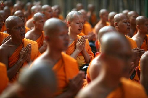 ภาพ No.20880:ธรรมยาตราฯ ปีที่ 5 วันเสาร์ที่ 9 มกราคม พ.ศ. 2559