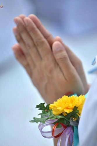 ภาพ No.20908:ธรรมยาตราฯ ปีที่ 5 วันเสาร์ที่ 9 มกราคม พ.ศ. 2559