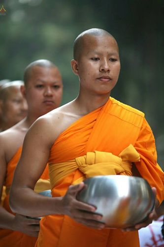 ภาพ No.20947:ธรรมยาตราฯ ปีที่ 5 วันเสาร์ที่ 9 มกราคม พ.ศ. 2559