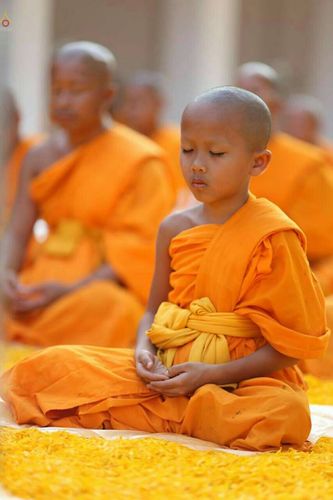 ภาพ No.20950:ธรรมยาตราฯ ปีที่ 5 วันอาทิตย์ที่ 10 มกราคม พ.ศ. 2559