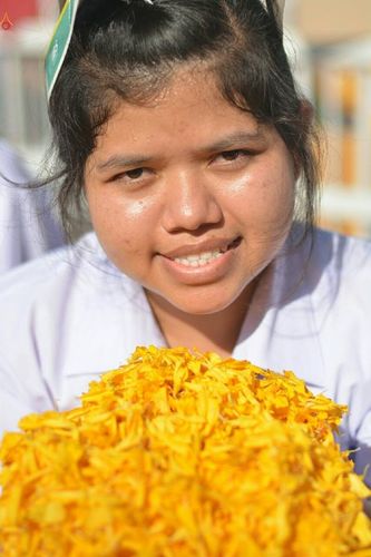 ภาพ No.21003:ธรรมยาตราฯ ปีที่ 5 วันจันทร์ที่ 11 มกราคม พ.ศ. 2559