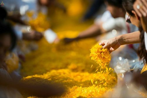 ภาพ No.21013:ธรรมยาตราฯ ปีที่ 5 วันจันทร์ที่ 11 มกราคม พ.ศ. 2559