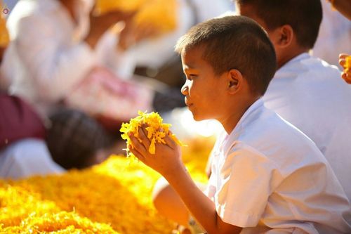 ภาพ No.21022:ธรรมยาตราฯ ปีที่ 5 วันจันทร์ที่ 11 มกราคม พ.ศ. 2559