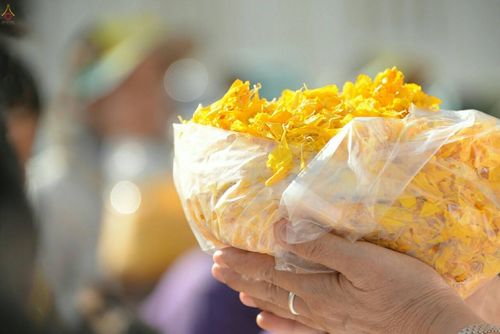 ภาพ No.21025:ธรรมยาตราฯ ปีที่ 5 วันจันทร์ที่ 11 มกราคม พ.ศ. 2559