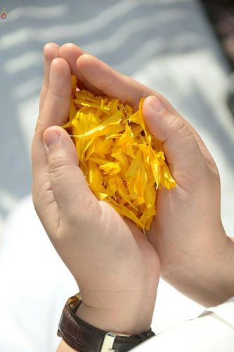 ภาพ No.21031:ธรรมยาตราฯ ปีที่ 5 วันจันทร์ที่ 11 มกราคม พ.ศ. 2559