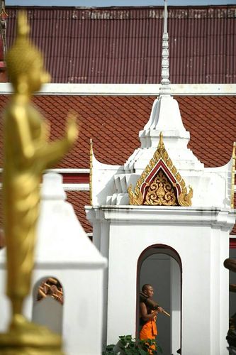 ภาพ No.21044:ธรรมยาตราฯ ปีที่ 5 วันจันทร์ที่ 11 มกราคม พ.ศ. 2559