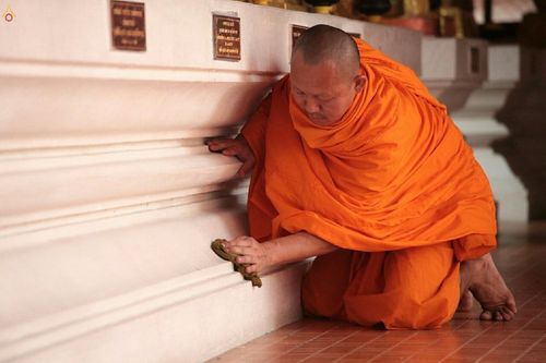 ภาพ No.21231:	ธรรมยาตราฯ ปีที่ 5 วันอังคารที่ 12 มกราคม พ.ศ. 2558