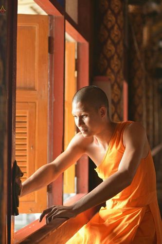 ภาพ No.21236:	ธรรมยาตราฯ ปีที่ 5 วันอังคารที่ 12 มกราคม พ.ศ. 2558