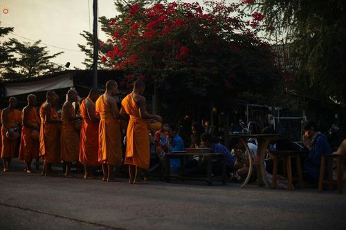ภาพ No.21316:ธรรมยาตราฯ ปีที่ 5 วันพุธที่ 13 มกราคม พ.ศ. 2559