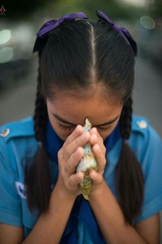 ภาพ No.21326:ธรรมยาตราฯ ปีที่ 5 วันพุธที่ 13 มกราคม พ.ศ. 2559