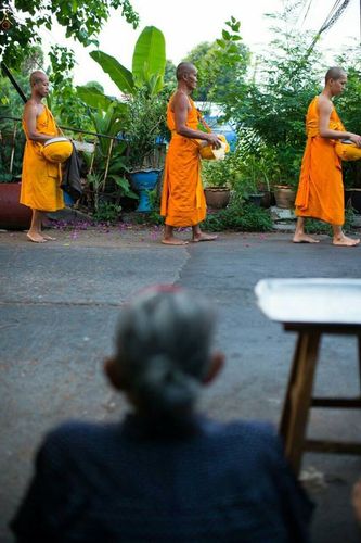 ภาพ No.21327:ธรรมยาตราฯ ปีที่ 5 วันพุธที่ 13 มกราคม พ.ศ. 2559