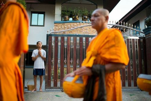 ภาพ No.21331:ธรรมยาตราฯ ปีที่ 5 วันพุธที่ 13 มกราคม พ.ศ. 2559