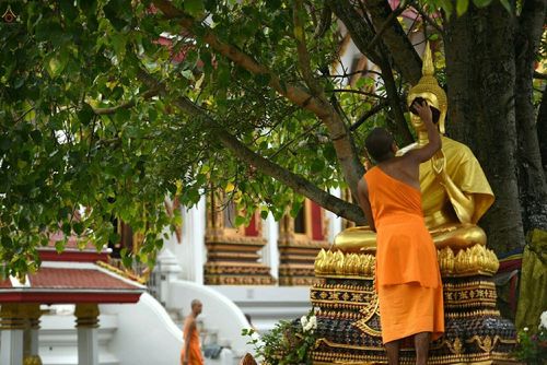 ภาพ No.21417:ธรรมยาตราฯ ปีที่ 5 วันพุธที่ 13 มกราคม พ.ศ. 2559