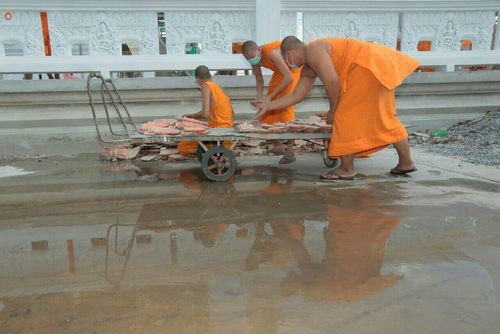 ภาพ No.21455:ธรรมยาตราฯ ปีที่ 5 วันพฤหัสบดีที่ 14 มกราคม พ.ศ. 2559