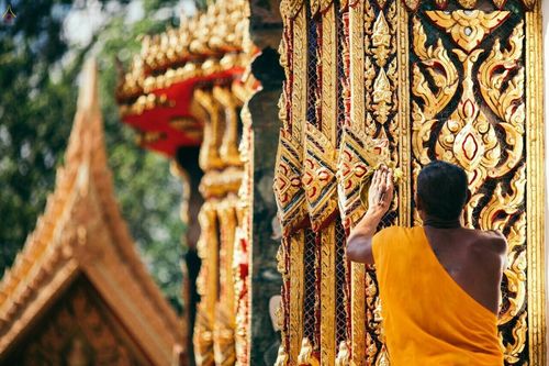 ภาพ No.21568:ธรรมยาตราฯ ปีที่ 5 วันพฤหัสบดีที่ 14 มกราคม พ.ศ. 2559