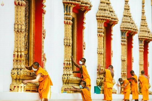 ภาพ No.21577:ธรรมยาตราฯ ปีที่ 5 วันพฤหัสบดีที่ 14 มกราคม พ.ศ. 2559