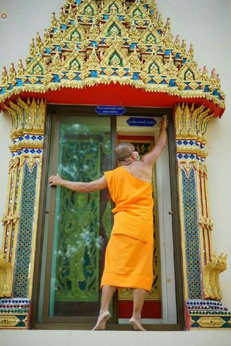 ภาพ No.21606:ธรรมยาตราฯ ปีที่ 5 วันพฤหัสบดีที่ 14 มกราคม พ.ศ. 2559