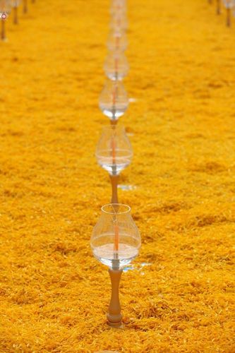 ภาพ No.21791:ธรรมยาตราฯ ปีที่ 5 วันเสาร์ที่ 16 มกราคม พ.ศ. 2559