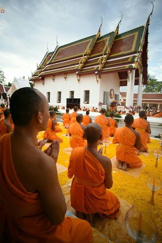 ภาพ No.21805:ธรรมยาตราฯ ปีที่ 5 วันเสาร์ที่ 16 มกราคม พ.ศ. 2559