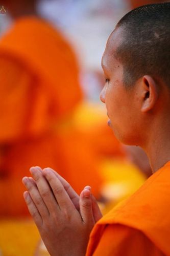 ภาพ No.21808:ธรรมยาตราฯ ปีที่ 5 วันเสาร์ที่ 16 มกราคม พ.ศ. 2559