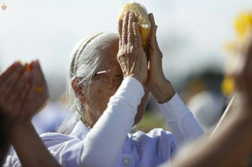 ภาพ No.21884:ธรรมยาตราฯ ปีที่ 5 วันอาทิตย์ที่ 17 มกราคม พ.ศ. 2559