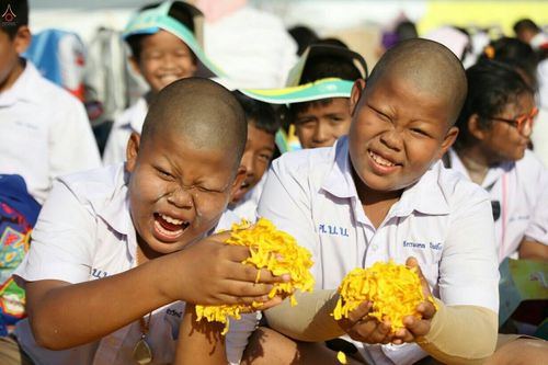 ภาพ No.21894:ธรรมยาตราฯ ปีที่ 5 วันอาทิตย์ที่ 17 มกราคม พ.ศ. 2559