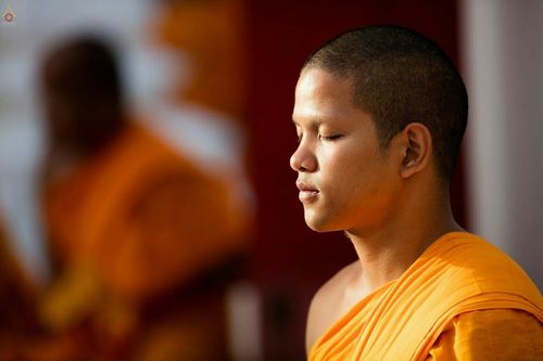 ภาพ No.21902:ธรรมยาตราฯ ปีที่ 5 วันอาทิตย์ที่ 17 มกราคม พ.ศ. 2559