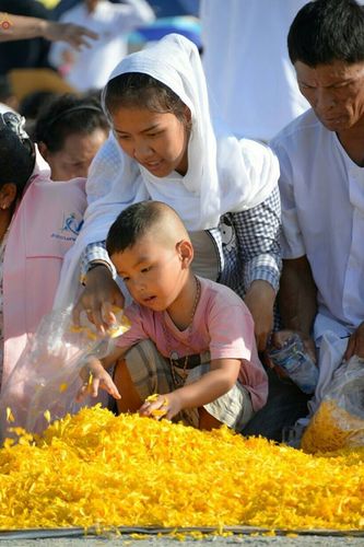 ภาพ No.21921:ธรรมยาตราฯ ปีที่ 5 วันอาทิตย์ที่ 17 มกราคม พ.ศ. 2559