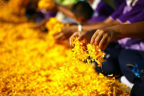 ภาพ No.21927:ธรรมยาตราฯ ปีที่ 5 วันอาทิตย์ที่ 17 มกราคม พ.ศ. 2559