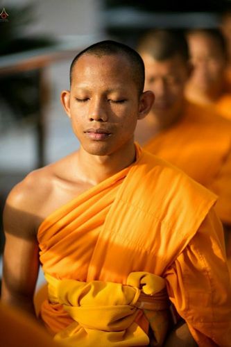 ภาพ No.21923:ธรรมยาตราฯ ปีที่ 5 วันอาทิตย์ที่ 17 มกราคม พ.ศ. 2559