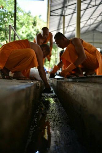 ภาพ No.22117:ธรรมยาตราฯ ปีที่ 5 วันจันทร์ที่ 18 มกราคม พ.ศ. 2559