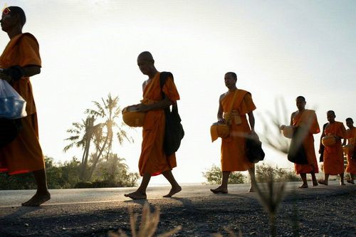 ภาพ No.22197:ธรรมยาตราฯ ปีที่ 5 วันอังคารที่ 19 มกราคม พ.ศ. 2559