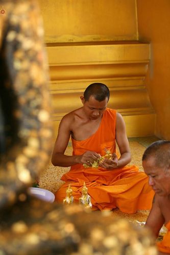 ภาพ No.22228:ธรรมยาตราฯ ปีที่ 5 วันอังคารที่ 19 มกราคม พ.ศ. 2559