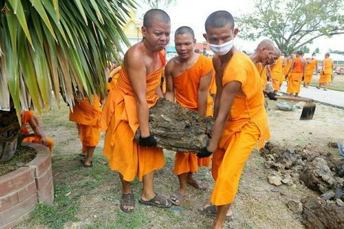 ภาพ No.22249:ธรรมยาตราฯ ปีที่ 5 วันอังคารที่ 19 มกราคม พ.ศ. 2559