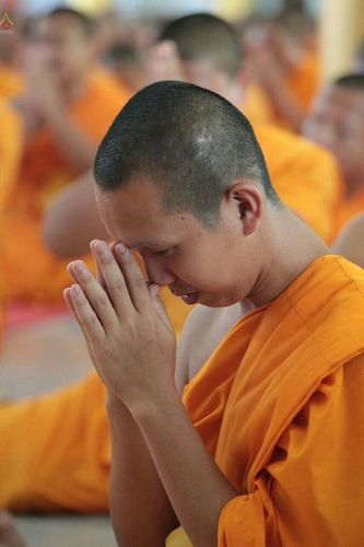 ภาพ No.22303:ธรรมยาตราฯ ปีที่ 5 วันอังคารที่ 19 มกราคม พ.ศ. 2559