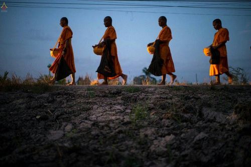 ภาพ No.22316:ธรรมยาตราฯ ปีที่ 5 วันอังคารที่ 19 มกราคม พ.ศ. 2559