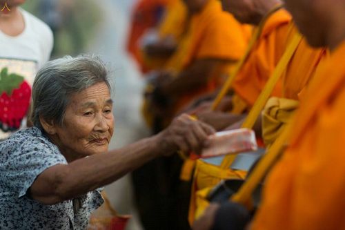 ภาพ No.22338:ธรรมยาตราฯ ปีที่ 5 วันอังคารที่ 19 มกราคม พ.ศ. 2559