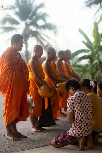 ภาพ No.22340:ธรรมยาตราฯ ปีที่ 5 วันอังคารที่ 19 มกราคม พ.ศ. 2559
