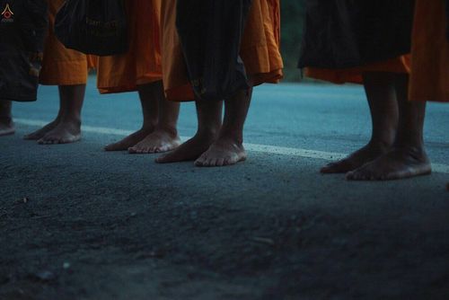 ภาพ No.22343:ธรรมยาตราฯ ปีที่ 5 วันอังคารที่ 19 มกราคม พ.ศ. 2559