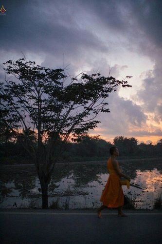 ภาพ No.22347:ธรรมยาตราฯ ปีที่ 5 วันอังคารที่ 19 มกราคม พ.ศ. 2559